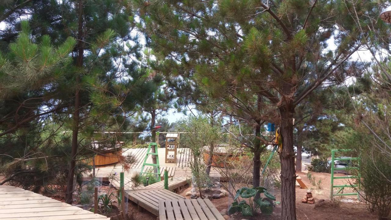 Guest house Carilafquen En
